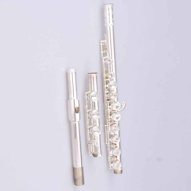 17 hole closed hole flat cover flute